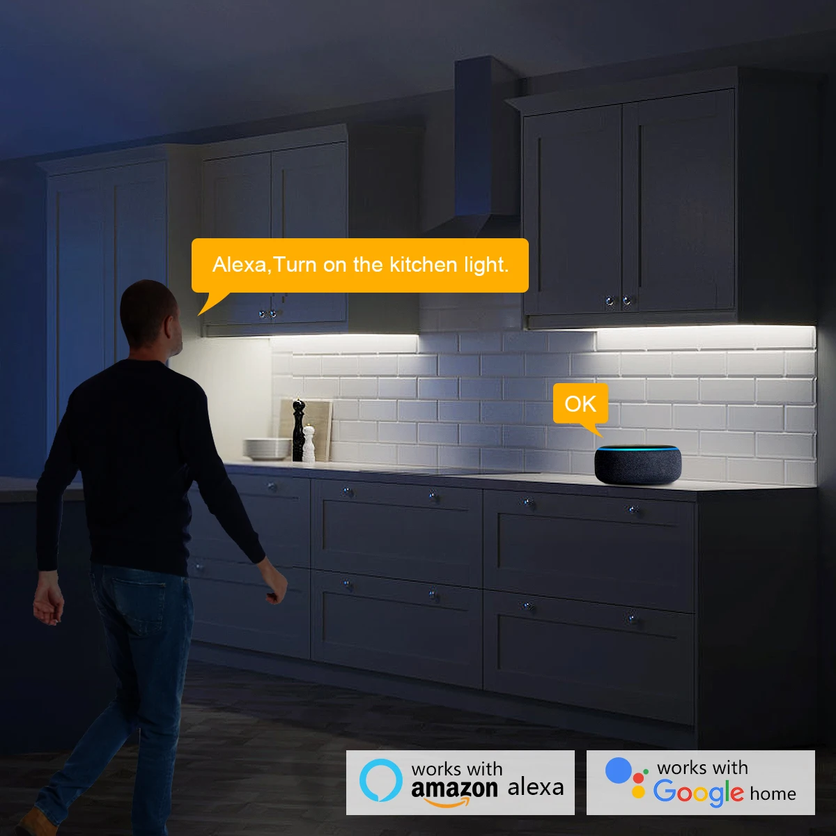 Smart Home Zigbee Tuya Spraakb - Home Decor App Free recensie en prijs