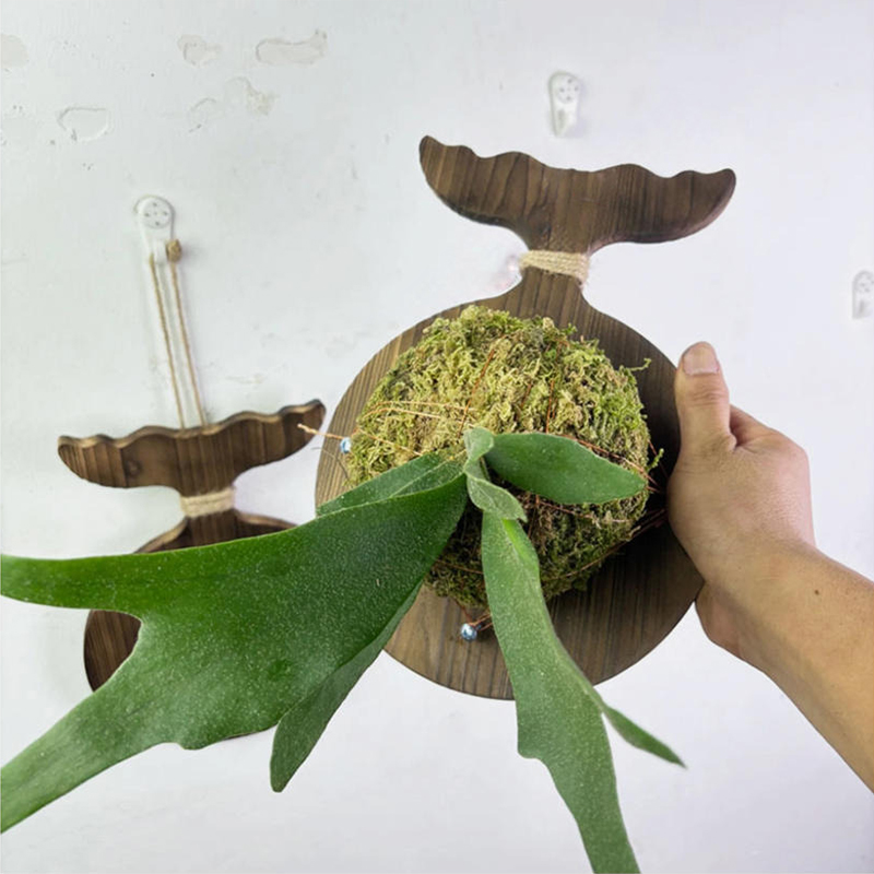 Nieuwe houten wandplank voor s - Woven Wall Basket recensie en prijs
