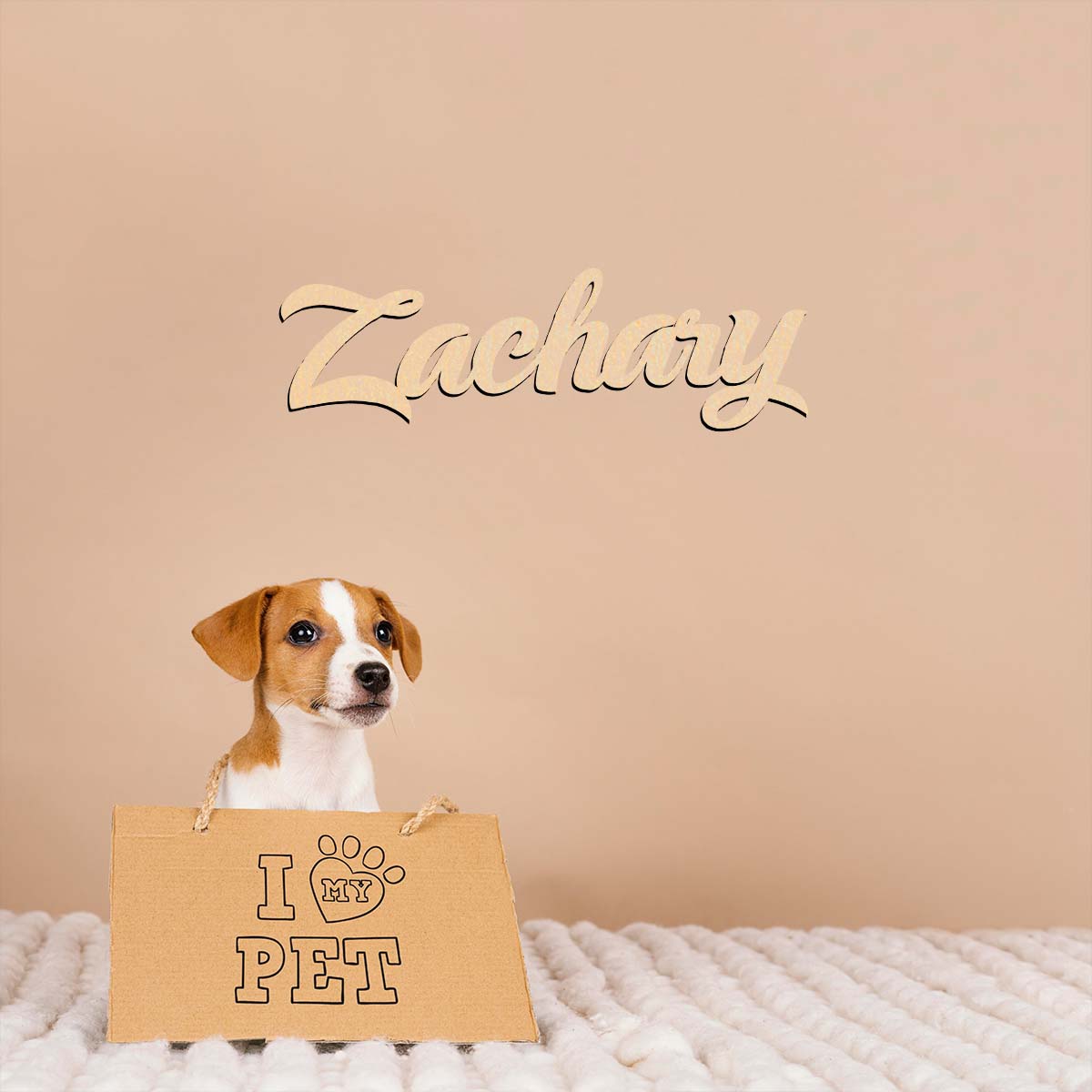 1pc woondecoratie Zachary voor - Home Decor Examples recensie en prijs