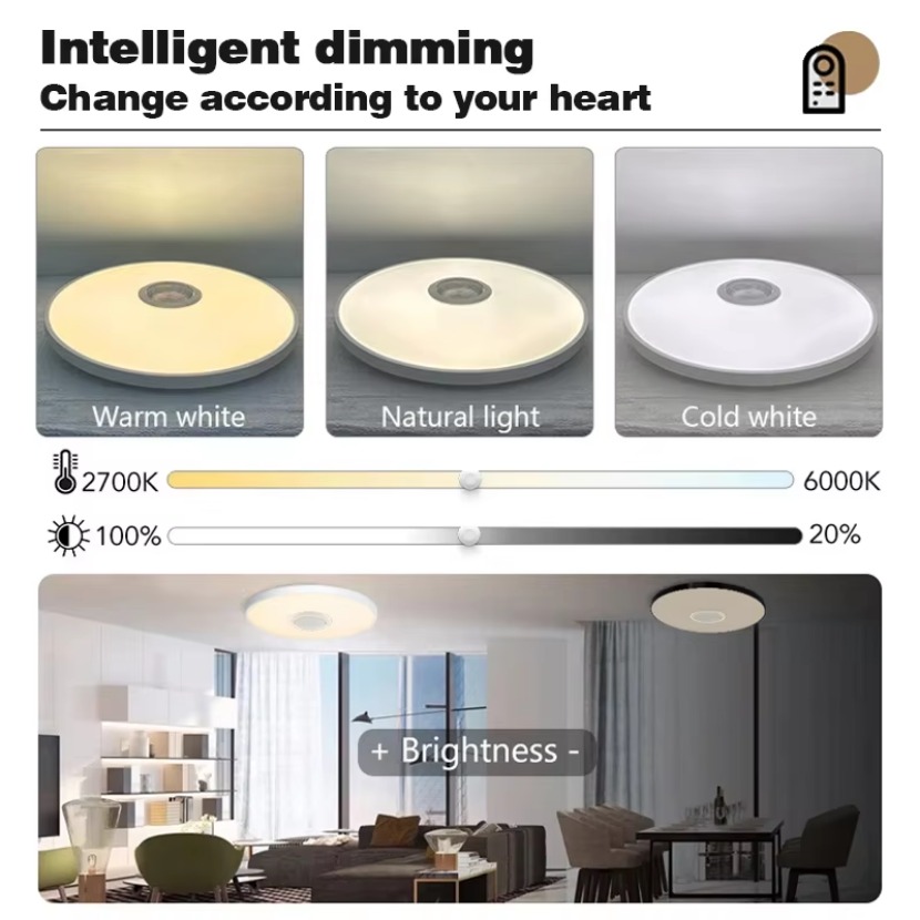 TUYA Smart Music Plafondlamp L - Home Decor App Free recensie en prijs