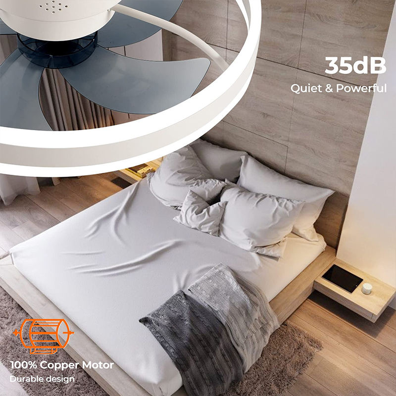 LED Plafondlamp Fan Met APP Af - Home Decor App Free recensie en prijs
