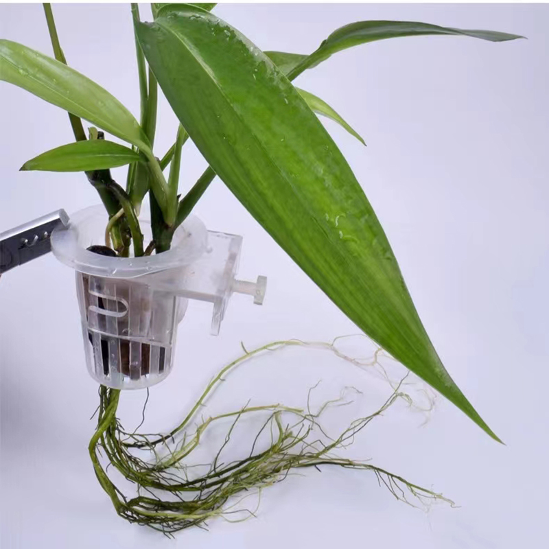 Aquarium Plantmand Hydroponisc - Woven Wall Basket recensie en prijs